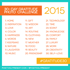 30 Day Gratitude Photo Challenge Http Positivelypresent Typepad Com A 6a011168668cad970c01b7c7dff15c970b Pi Gratitude Challenge Photo Challenge Challenges