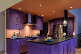 30 purple kitchen ideas (photos)