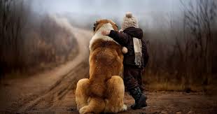 Schone Bilder Fruhling Wallpaper Jungen Mit Grossen Hund Hd Hintergrundbilder Ich hoffe ich kann euch bei der namensuche etwas helfen. hd hintergrundbilder