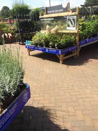 Garden Leisure Company Huntingdon Garden Centre Lifestyle Home Garden Farm Shop Whsmith Layout Landscape Customer Journey Visual Merchan
