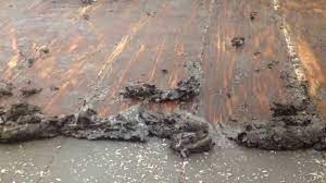 If you want your floors a darker color, the traditional route of sanding the finish off completely and then restaining and recoating with a finish is the only way to go. How To Refinish Wood Floors Without Sanding Part 5 Youtube