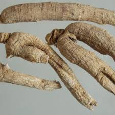 Image result for Isachne kiyalaensis