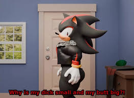 Sonic and Shadow make the most out of of it