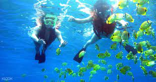 Andaman resort langkawi | snorkeling langkawi. Up To 15 Off Pulau Payar Snorkeling Diving Adventures From Langkawi Malaysia Klook India