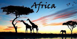 拉尼 亚卡斯 rani jarkas 非洲的投资潜力 animals wild animals beautiful beautiful nature