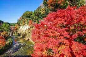 千葉の紅葉名所まとめ 穴場やドライブスポットの見頃もまとめて紹介 Travel Star