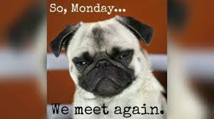 Meme Compilation Dedicated To Everyone S Favorite Day Monday Meme Me Work Quotes Funny Funny Quotes Cat Quotes Funny