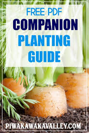 Free Pdf Printable Companion Planting Guide For Your