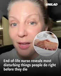 Amie Holt's Instagram, Twitter & Facebook