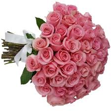 Image result for Rosa