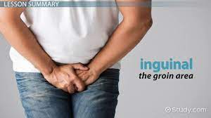 Deep Vein Thrombosis In The Groin Video Lesson Transcript Study Com