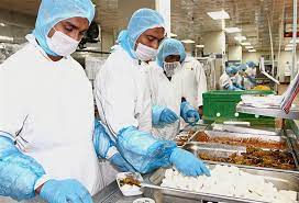 Ms 1514 gmp for food. Brahim S Set To Spread Its Wings The Star
