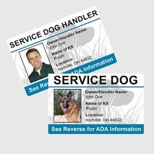 Custom Personalized Id Badge Combo Pack Handler Dog Service Dogs Psychiatric Service Dog Puppy Training Schedule