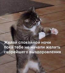 страшно очень страшно мы не знаем что это такое Pin Ot Polzovatelya Kulish Na Doske Kartinki V 2020 G Memy Veselye Memy Smeshnye Memy