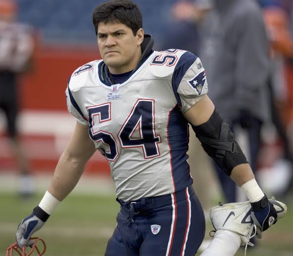 Tedy Bruschi critical of Bill Belichick over Patriots comment