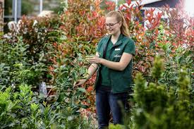 Alles für garten, terrasse und balkon. Dehner Gartencenter Gmbh Co Kg Bewirb Dich Jetzt