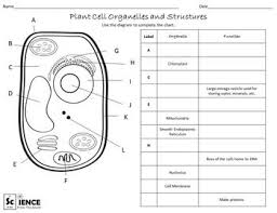 Check spelling or type a new query. 15 Plant And Animal Cells Worksheet