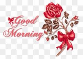 See more ideas about beautiful flowers, flowers, jasmine flower. 0 Beautiful Flower Good Morning Free Transparent Png Clipart Images Download