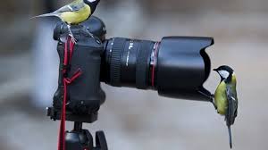 فن التصوير الفتوغرافي