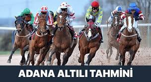 16 Agustos 2020 Adana Altilisi At Yarisi Tahminleri 2020 Ayi Atlar Kosum