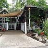 The banyan tree that sits out in front of the restaurant was actually gifted. Https Encrypted Tbn0 Gstatic Com Images Q Tbn And9gcr1zk2lbbrwd9bdgejdb3ukuaipoym7npmfof9fkme0a 2ttdxt Usqp Cau