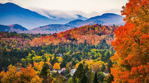 Drug Rehab Centers That Accept Health New England Addiction Resource