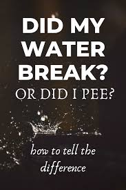 You and your baby will be evaluated to determine the next steps. Pin On Pregnancy