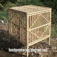 Seperti hewan lainnya, dalam beternak ayam bangkok, pakan menjadi faktor yang sangat penting. Taman Bambu Semarang Harga Kandang Ayam Bangkok Chicken Coop Decor Coops