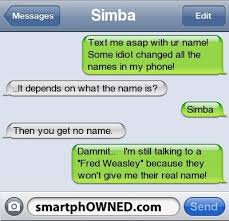 Funny Text Messages Funny Text Messages Funny Texts Funny Quotes