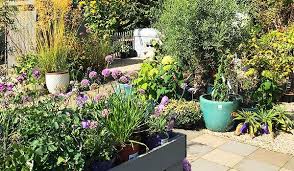 Ireland gardens are mainly open in the summertime, although altamont and caherbridge open early in february to show off their extensive collections of snowdrops. Just Buy Irish Local Independent Producers Who Deliver Online