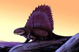 Dimetrodon taming calculator for ark: Wie Viel Wissen Sie Uber Dimetrodon
