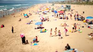 Maybe you would like to learn more about one of these? San Francisco Hit Tacolicious Descends On The South Bay This Summer Eater La