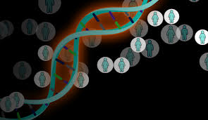 Precision Medicine and Its Imprecise History · Issue 2.1, Winter 2020