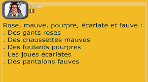 L'enseignant de votre enfant est un peu plus exigeant : Accord Des Adjectifs De Couleurs Cours De Francais Anime Youtube