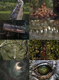 See more ideas about witch, witch aesthetic, swamp. My Piece Of Culture Animal Witch Aesthetics Alligator Crocodile