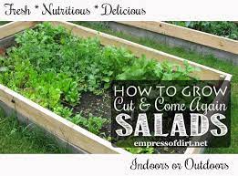 How To Grow Cut And Come Again Salads Indoors Or Outdoors Complete Instructions For The Beginner