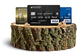 We did not find results for: Credit Cards Northern Credit Union
