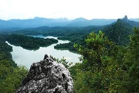 Frim atau forest research institute of malaysia bisa menjadi tempat percutian menarik di gombak yang bisa anda kunjungi pertama kali. Nak Tenangkan Fikiran 15 Tempat Menarik Di Gombak Sesuai Untuk Persinggahan Anda Ammboi