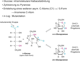 Wolfgang dukorn 23.316 views4 year ago. Kohlenhydrate Elmar Heinzle Technische Biochemie Pdf Free Download
