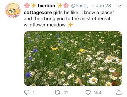 Pin By Eddie On Cottagecore I Know A Place Girls Be Like Flower Stands