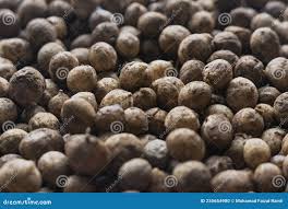 Image result for Vigna subterranea
