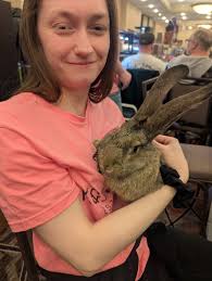 Other ballet shows for younger audiences?