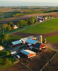Maybe you would like to learn more about one of these? Home And Farm Insurance In Halstad Mn