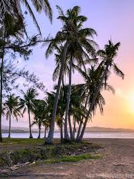Compare the rates to always get the best prices for your trip. Spend A Day In Beautiful Luquillo Puerto Rico Hello Little Home