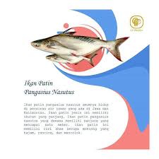 Ikan patin masak pindang, rasanya sangat menggugah selera makan, campuran aneka bumbu, tomat cherry cara memasak ikan patin bumbu pindang free bitcoin : Simon Kj Simoappl Profile Pinterest