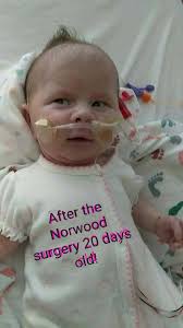 Woman seeks revenge after discovering husband's infidelity and manipulation