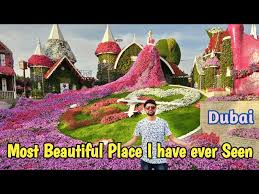 Including some of the most beautiful places in dubai like the dubai miracle gardens or going on a desert safari ride. à¤µ à¤¹ à¤‡à¤¤à¤¨ à¤¸ à¤¨ à¤¦à¤° Miracle Garden Dubai 2020 World Largest Garden Beautiful Place Youtube