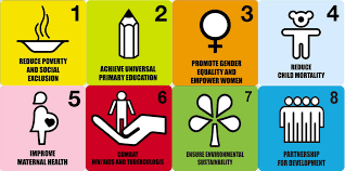 The World Versus The World Millennium Development Goals