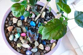 Check spelling or type a new query. How To Arrange Indoor Plants With Colored Rocks Create Play Travel
