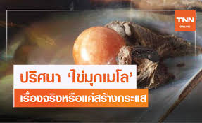 กุ๊กหนุ่มใหญ่เฮ มุกเมโล ที่เจอในหอยกระโจงโดง เก็บไว้เป็น 10 ปี นำไปตรวจพบเป็นของแท้ น้ำหนัก 90.10 กะรัต à¹à¸à¸°à¸ž à¸£ à¸˜ à¹„à¸‚ à¸¡ à¸à¹€à¸¡à¹‚à¸¥ à¸‚à¸­à¸‡à¸ˆà¸£ à¸‡à¸«à¸£ à¸­à¸ˆ à¸­à¸ˆ